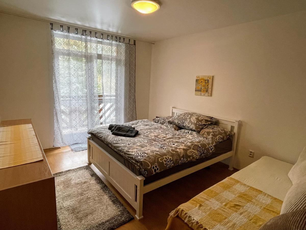Apartman & Studio Tyrkys Spiezovec Dóval Kültér fotó